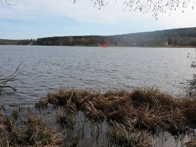 Hohenfeldener See