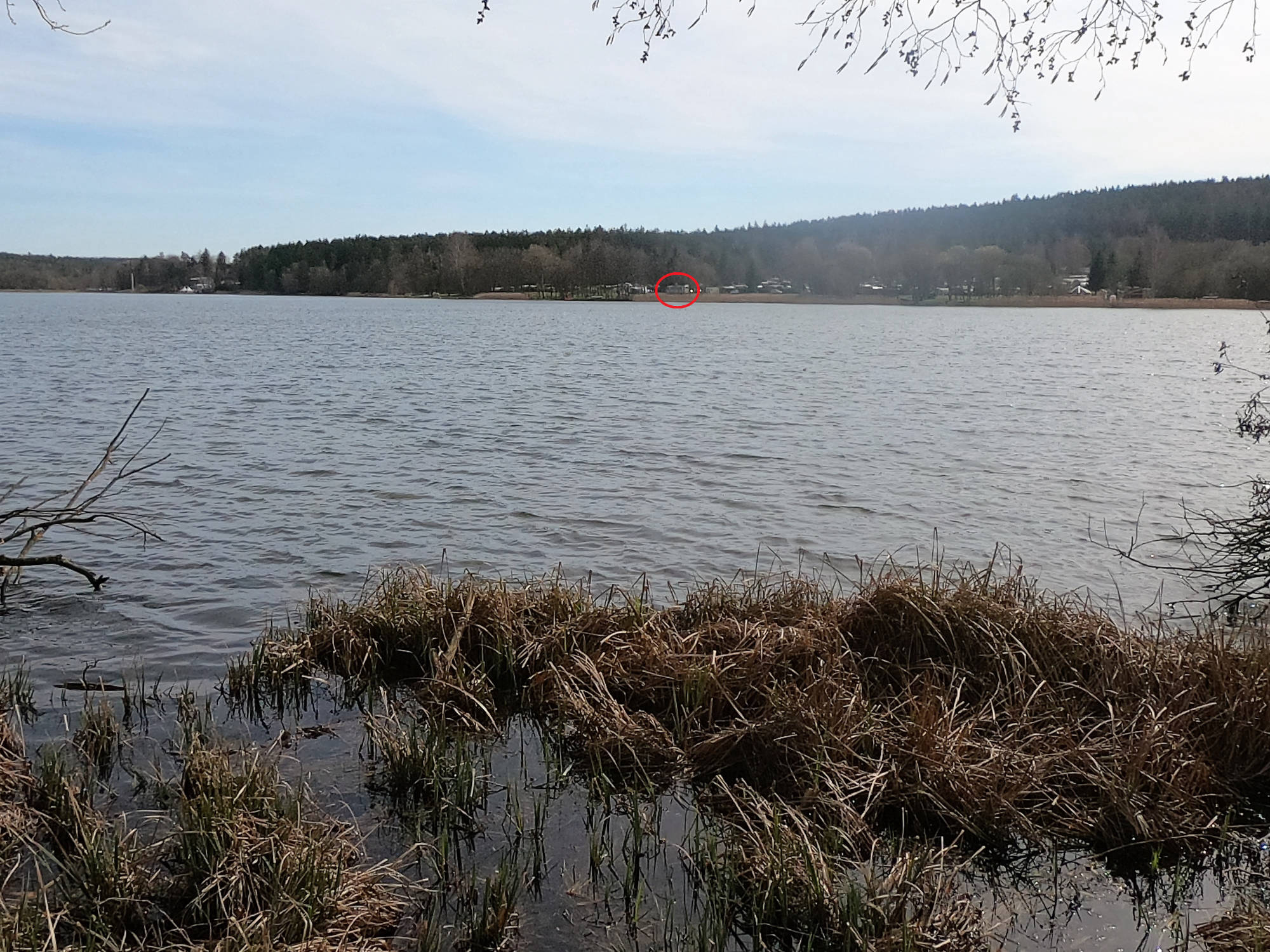 Hohenfeldener See