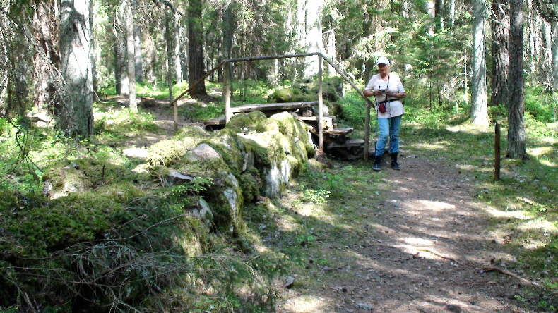 Alte Steingrenze im Wald