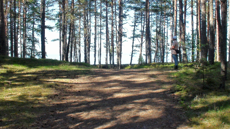 Ostsee in Sicht