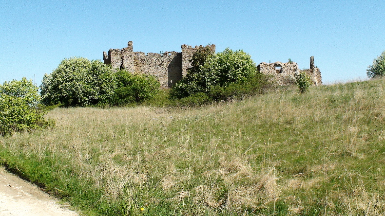 Burgruine Toolse