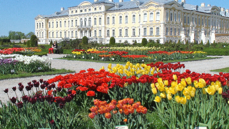 Tulpenzüchtungen