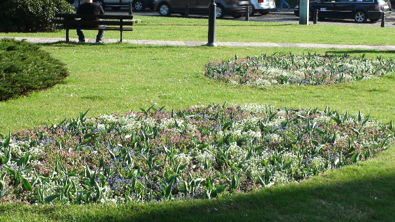 Frühlingsboten