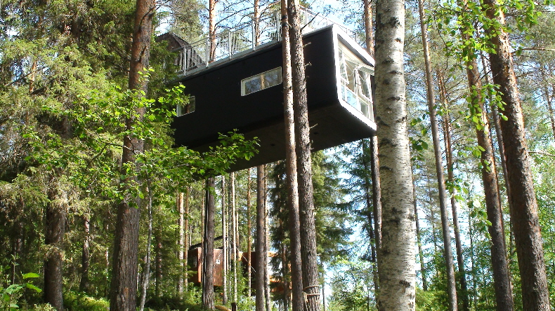 The Cabin