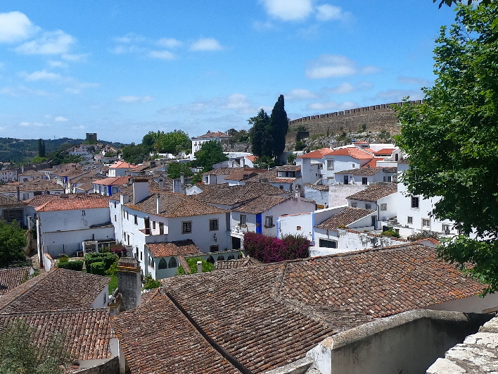 Blick von der Mauer über den Ort