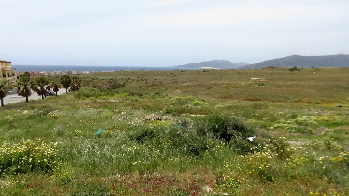 Blick zur Atlantikküste bei Tarifa