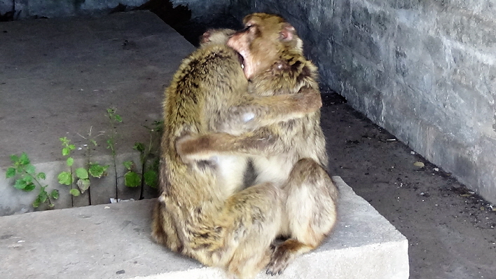Liebe und Streit immer abwechselnd