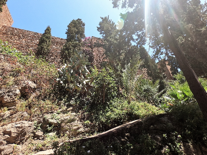 Alcazaba, Aufgang
