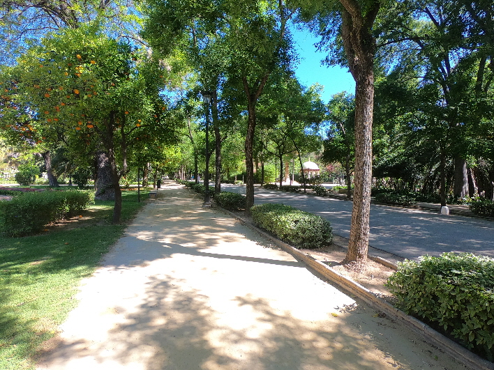 im Parque de MAria Luisa