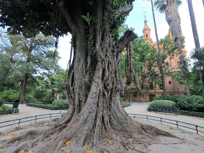 Baum aus Herr der Ringe